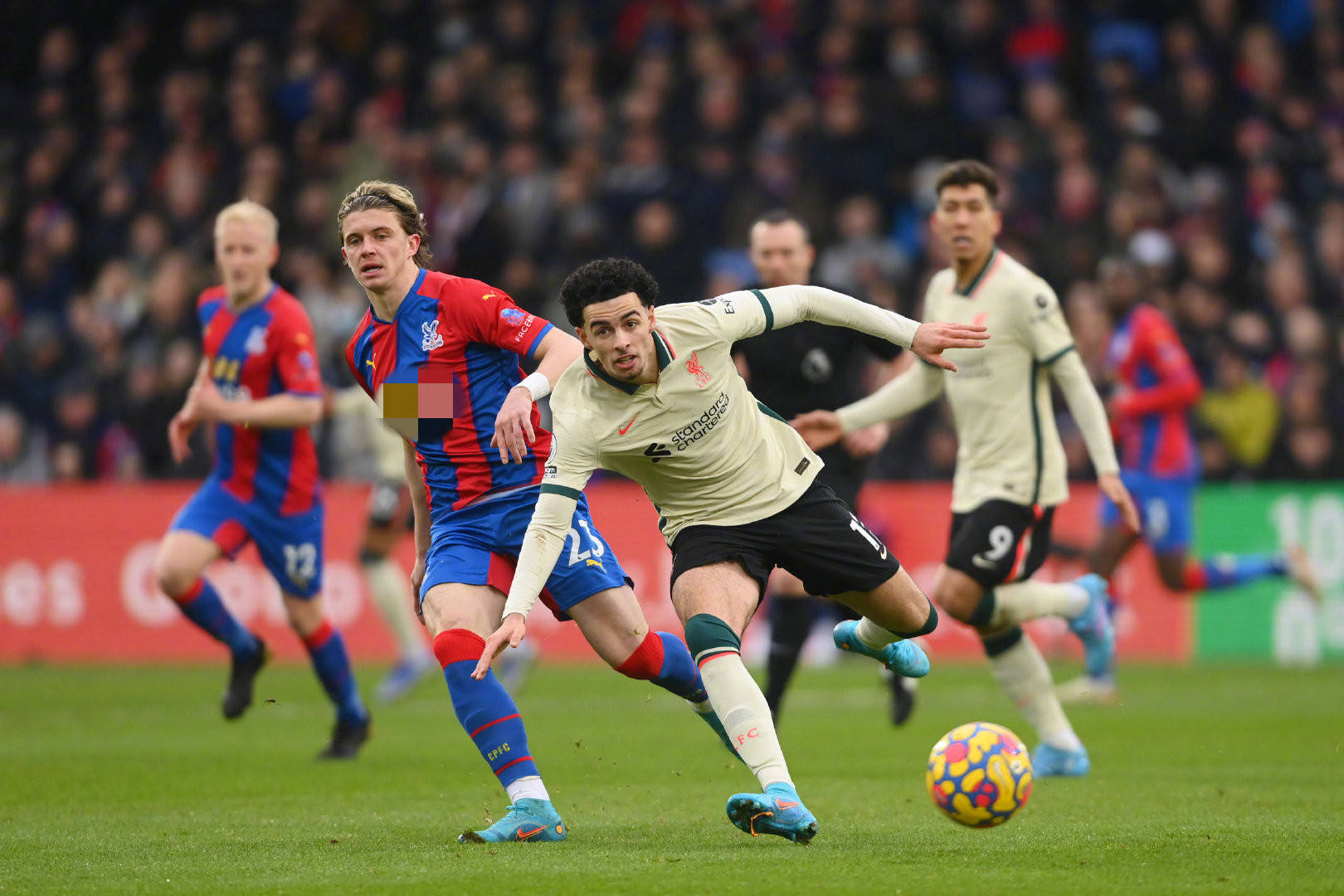 充满活力的 充满活力的